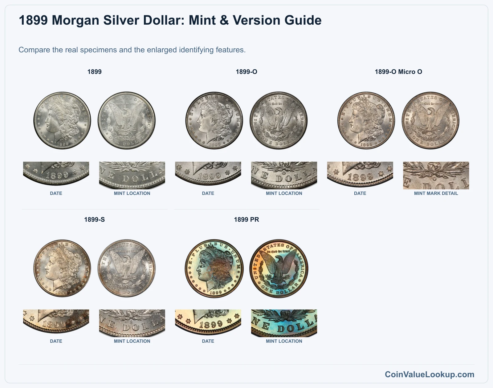 1899 Morgan Silver Dollar: Mint & Version Guide with all listed versions and genuine identifying details