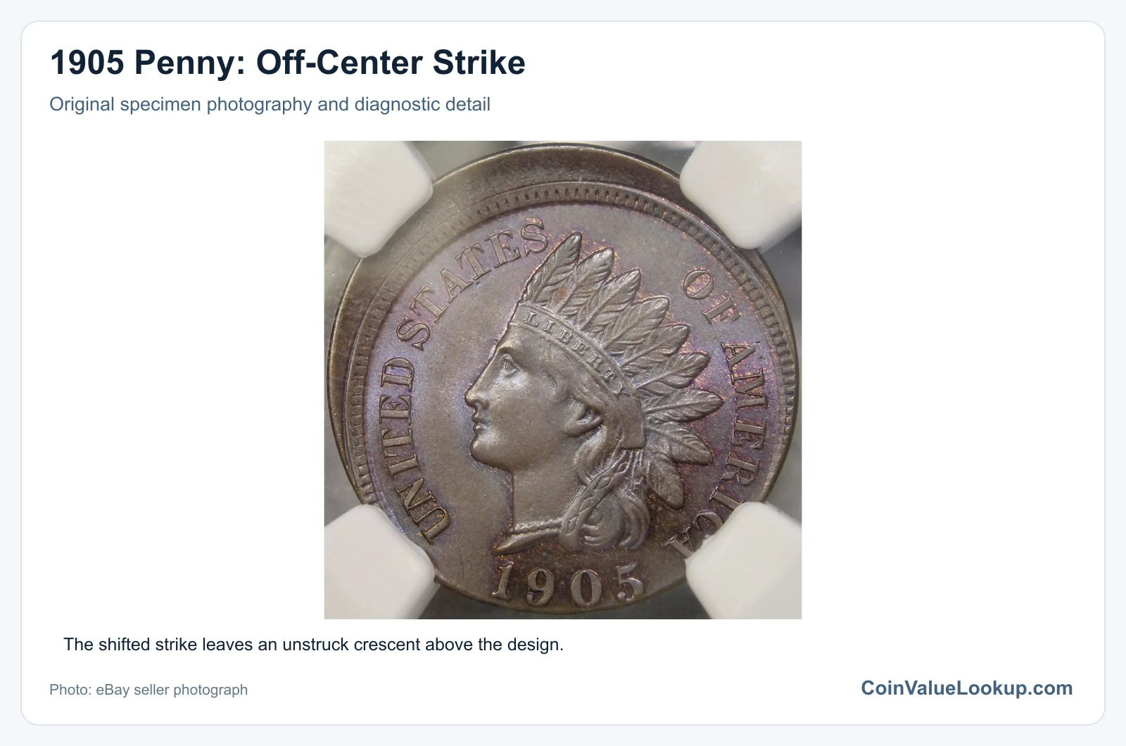 1905 Penny: Off-Center Strike with diagnostic detail