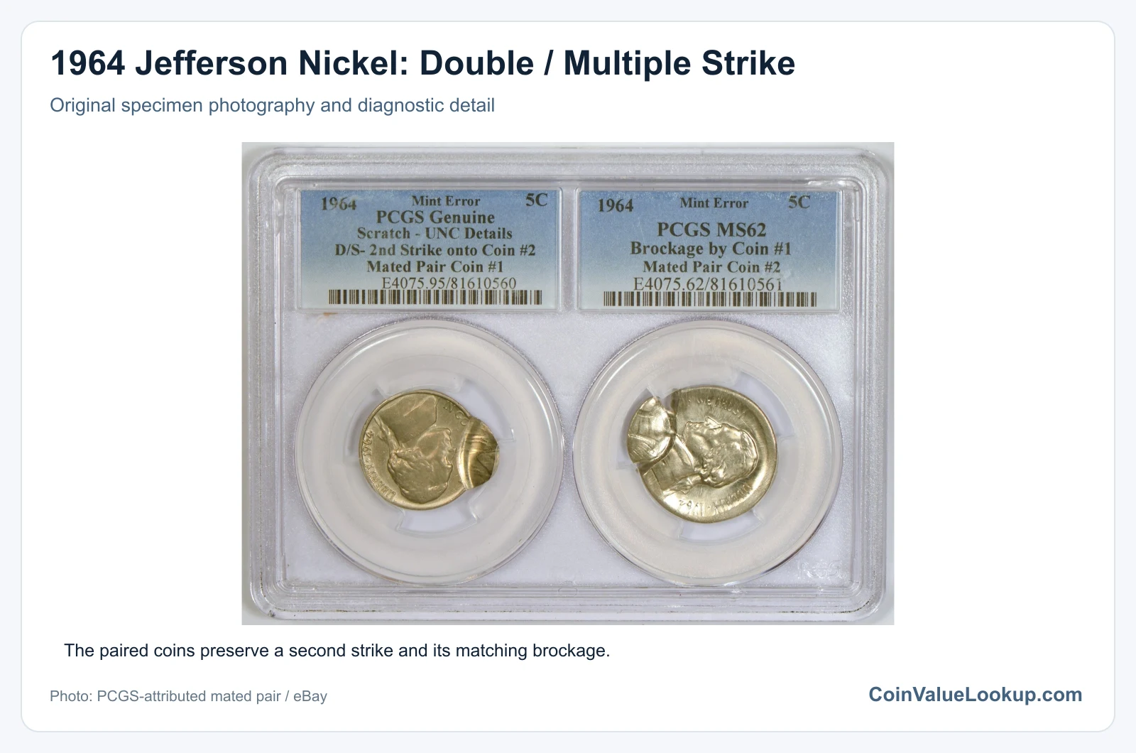 1964 Jefferson Nickel: Double / Multiple Strike with diagnostic detail
