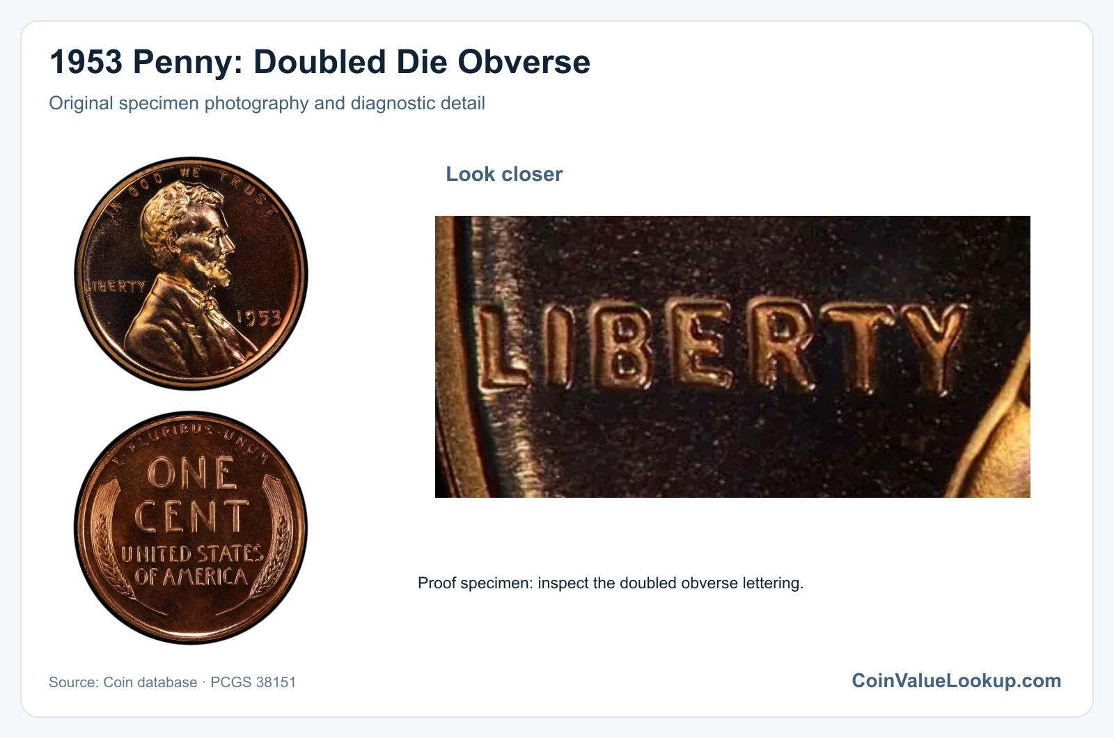 1953 Penny: Doubled Die Obverse with diagnostic detail