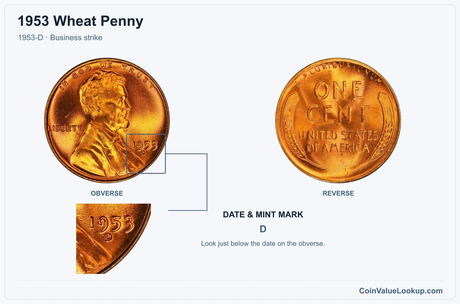 1953 Wheat Penny Coin — 1953-D, obverse and reverse, with date and mint-mark close-up