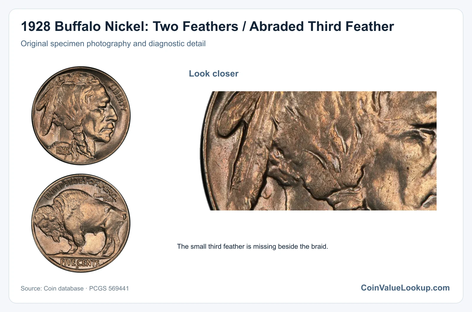1928 Buffalo Nickel: Two Feathers / Abraded Third Feather with diagnostic detail