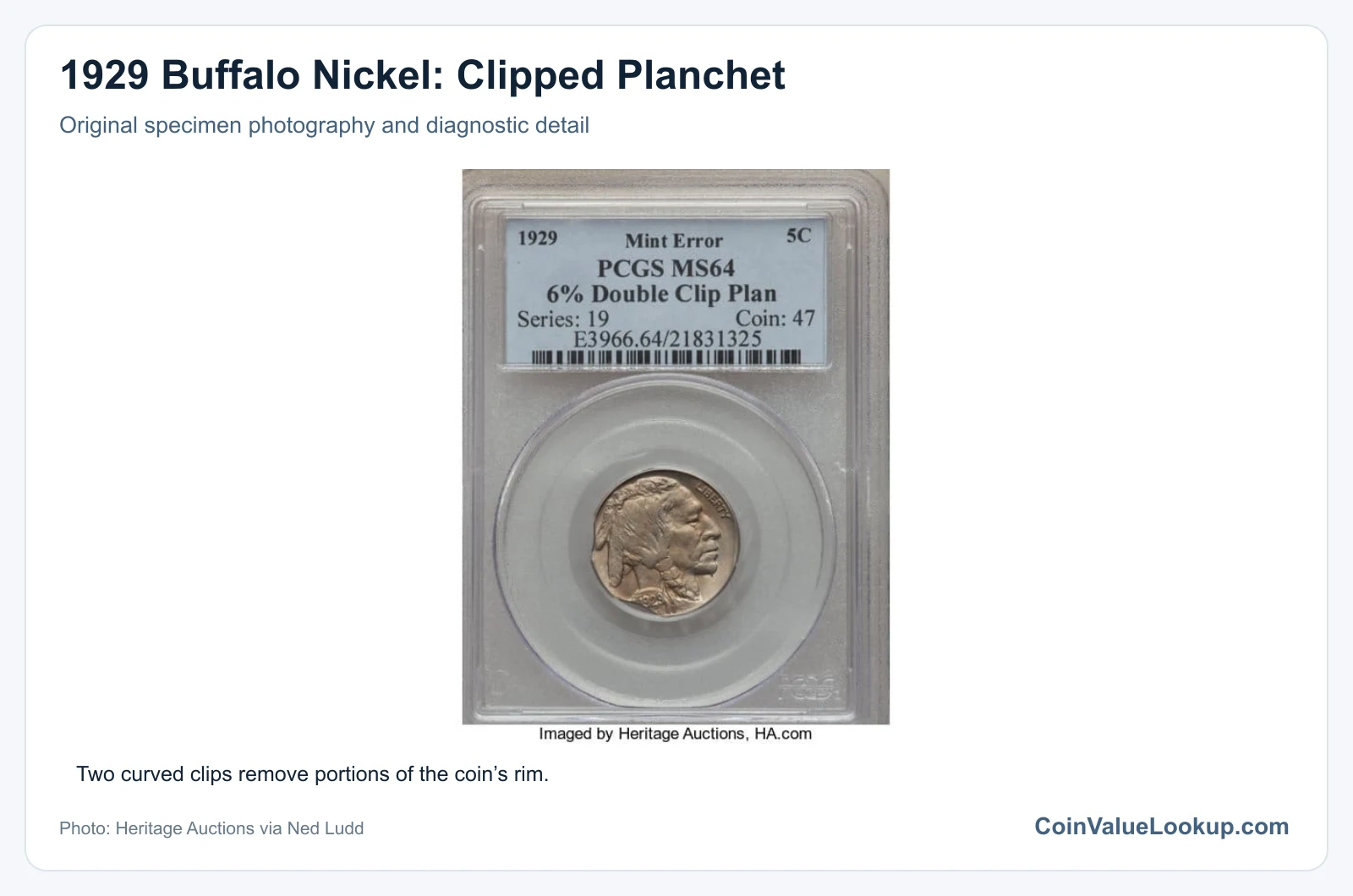 1929 Buffalo Nickel: Clipped Planchet with diagnostic detail