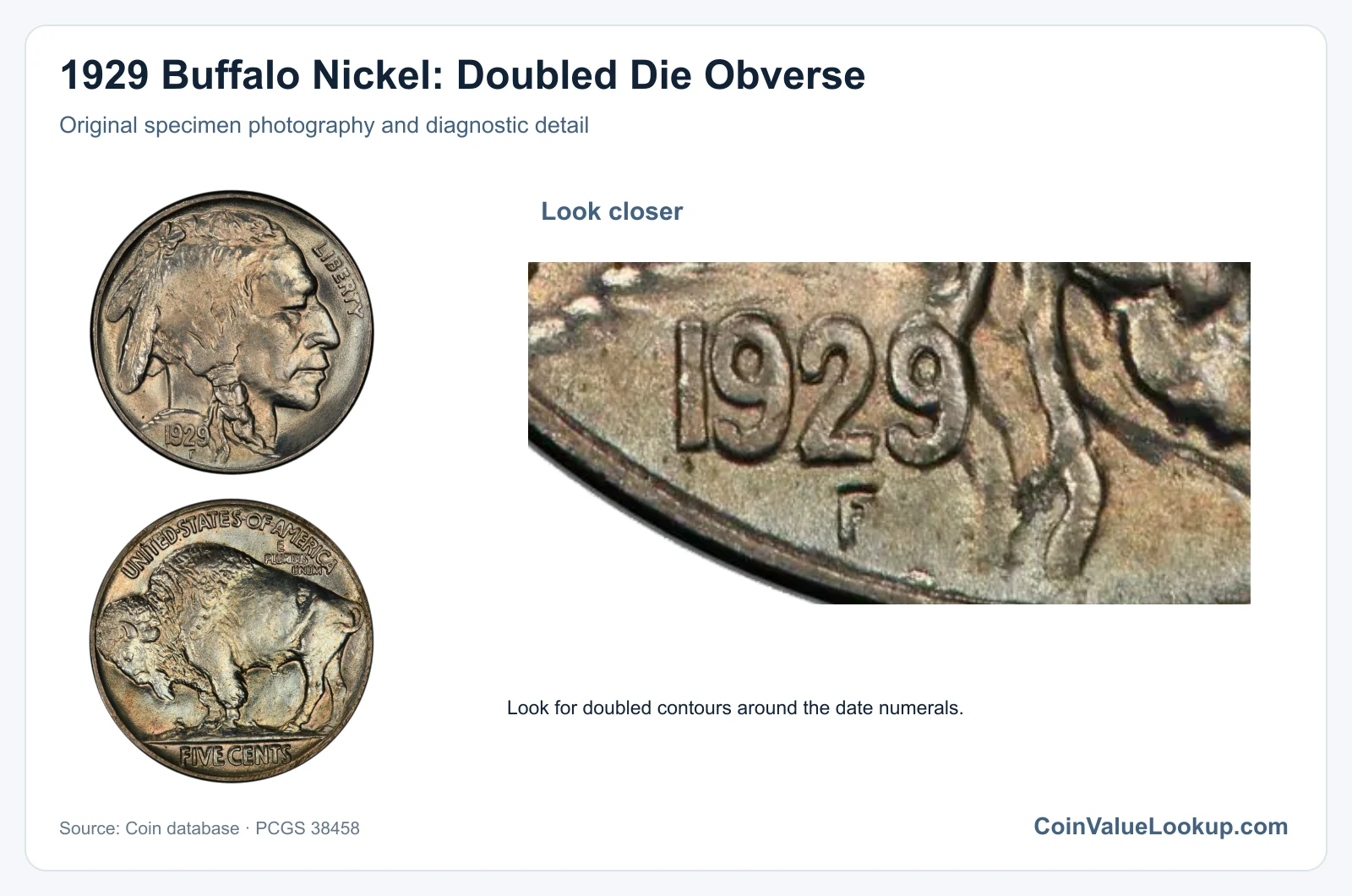 1929 Buffalo Nickel: Doubled Die Obverse with diagnostic detail
