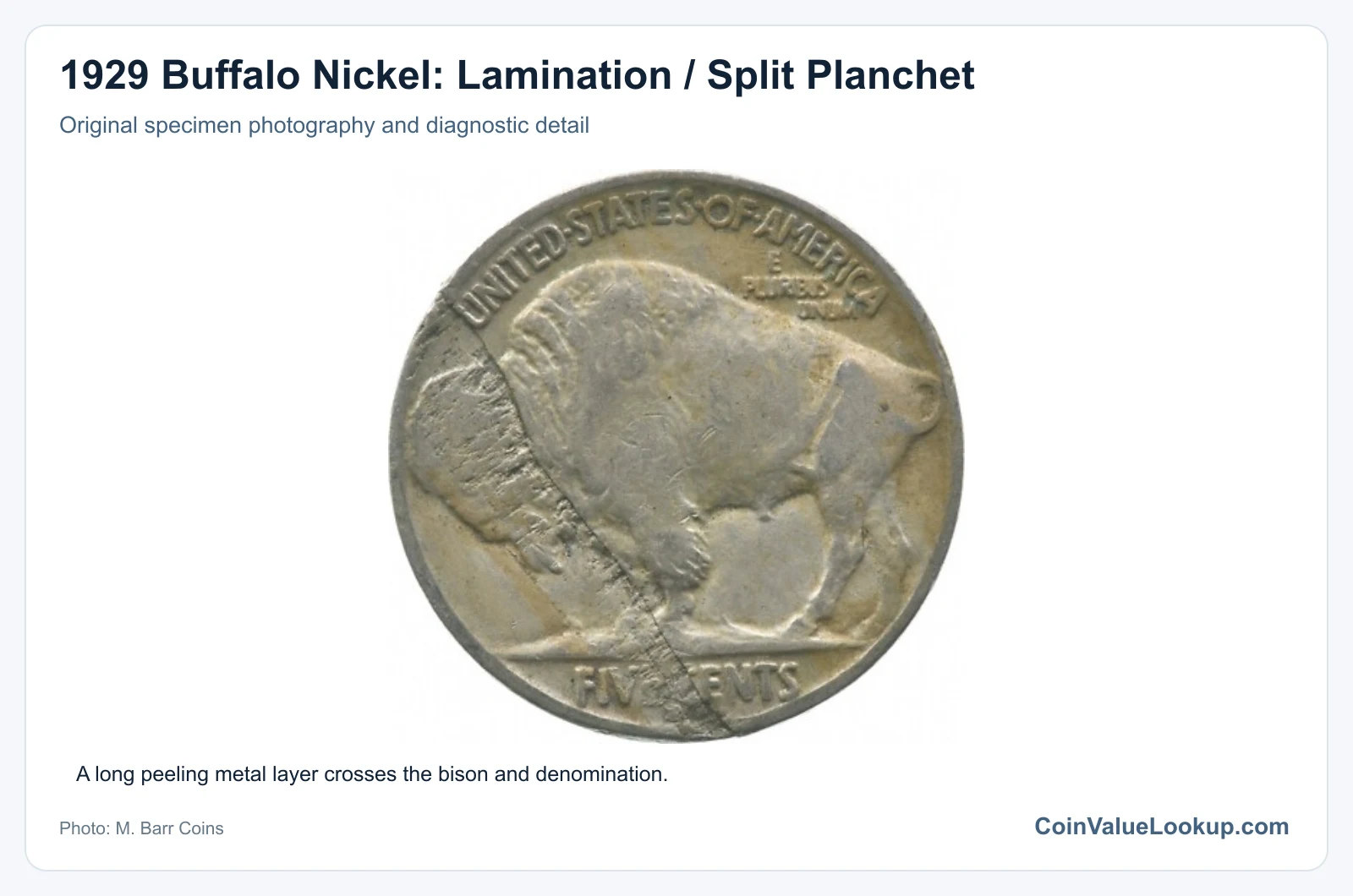 1929 Buffalo Nickel: Lamination / Split Planchet with diagnostic detail