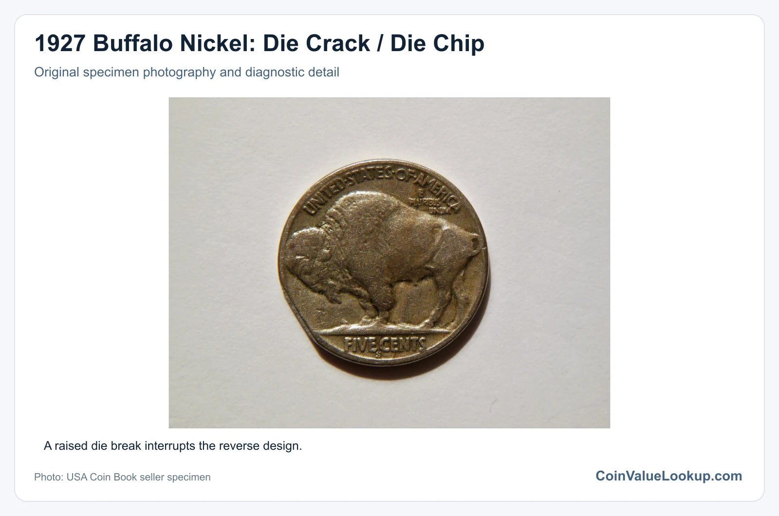 1927 Buffalo Nickel: Die Crack / Die Chip with diagnostic detail