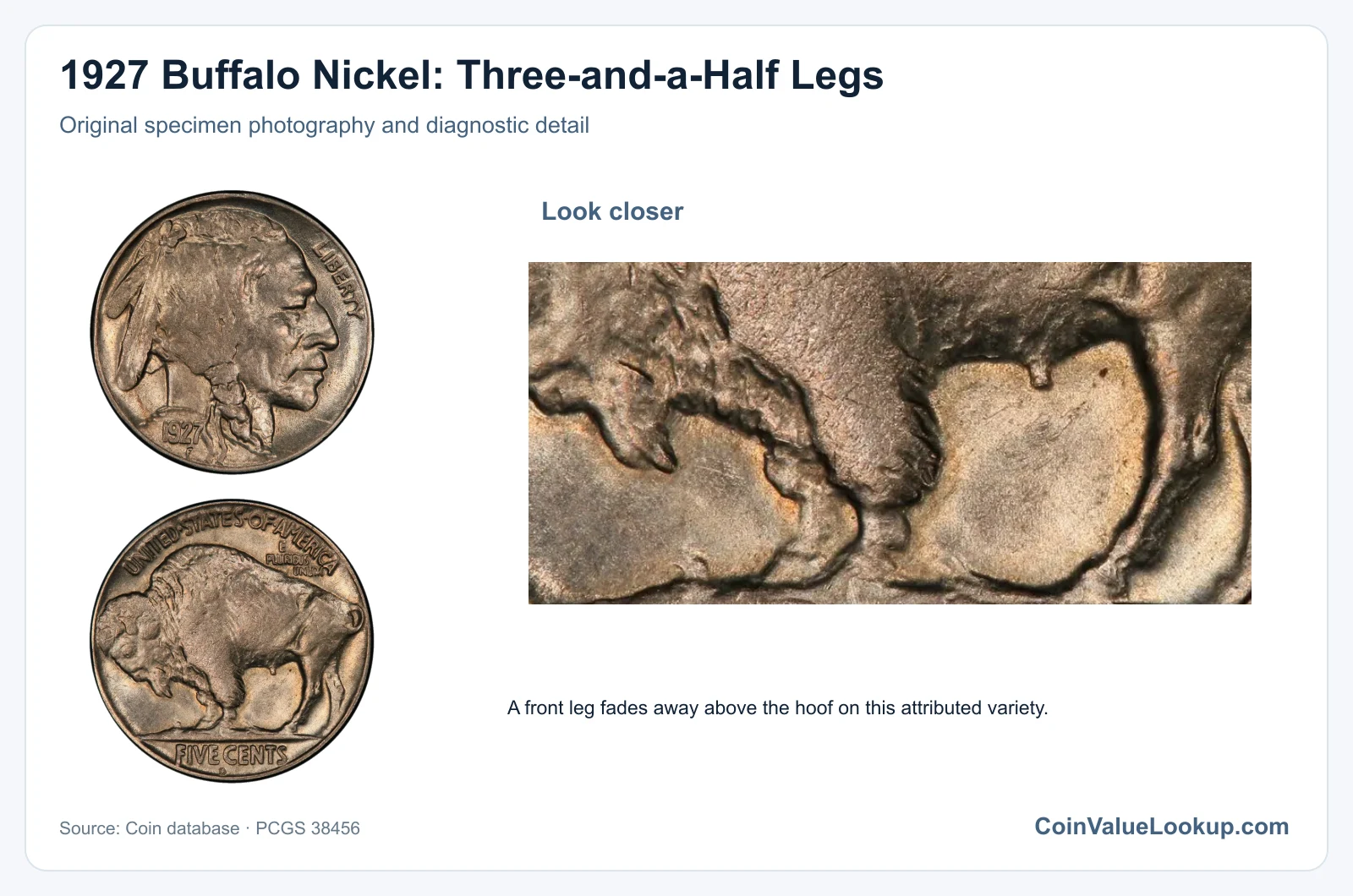 1927 Buffalo Nickel: Three-and-a-Half Legs with diagnostic detail