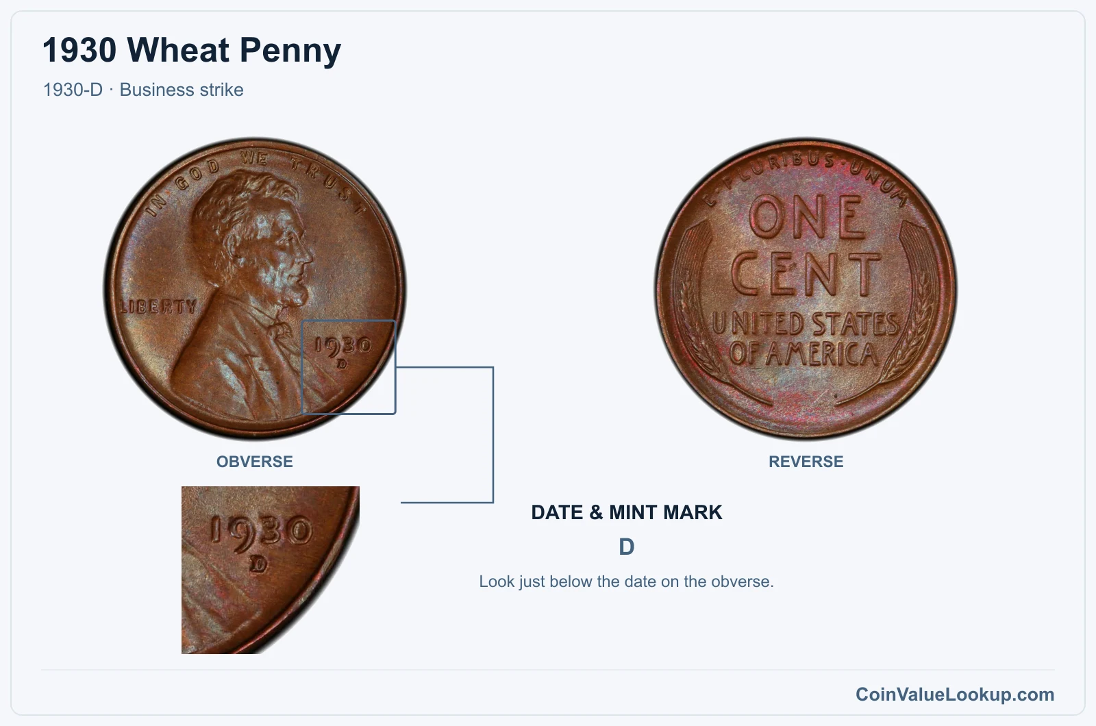 1930 Wheat Penny Coin — 1930-D, obverse and reverse, with date and mint-mark close-up