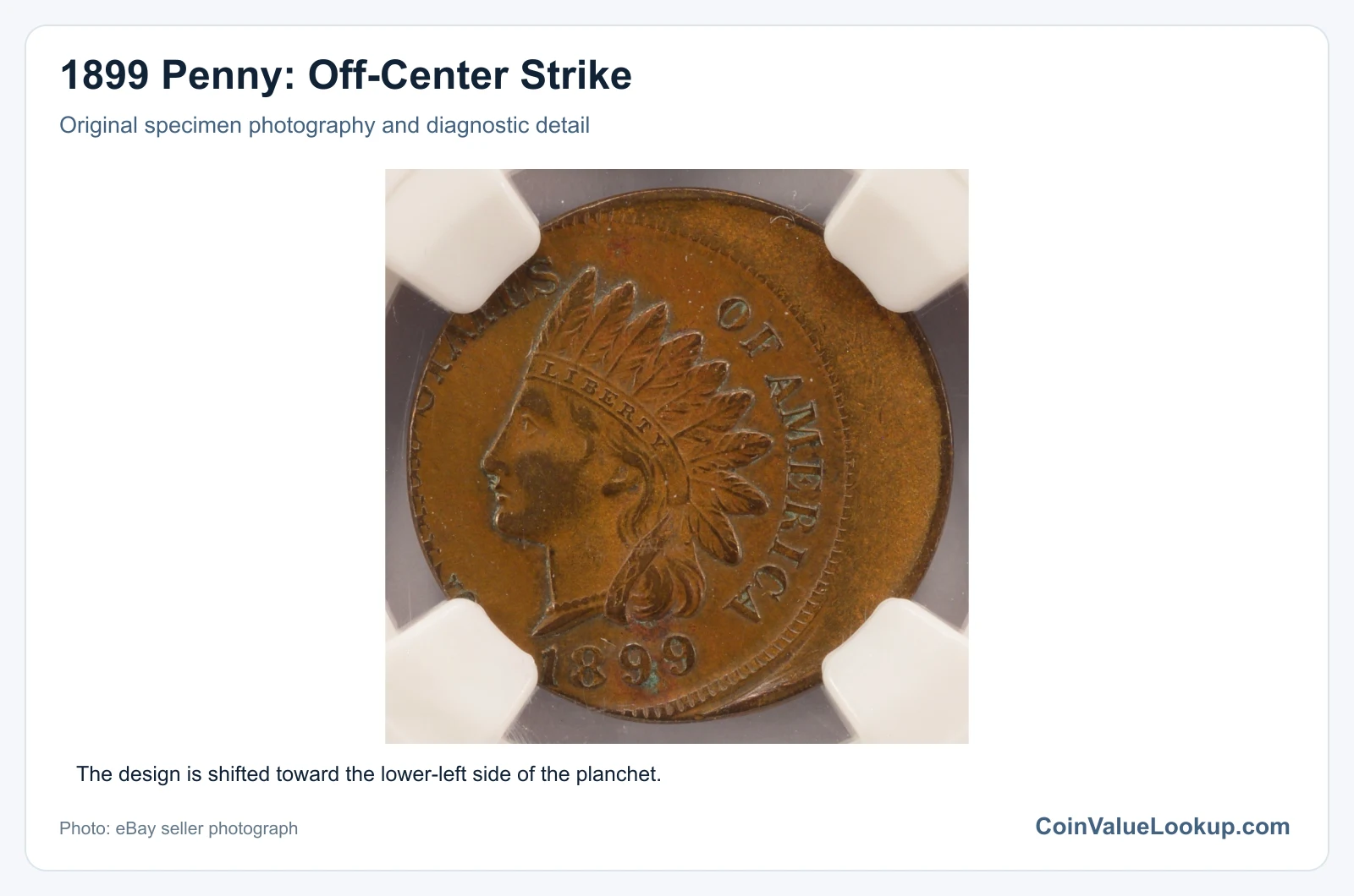 1899 Penny: Off-Center Strike with diagnostic detail