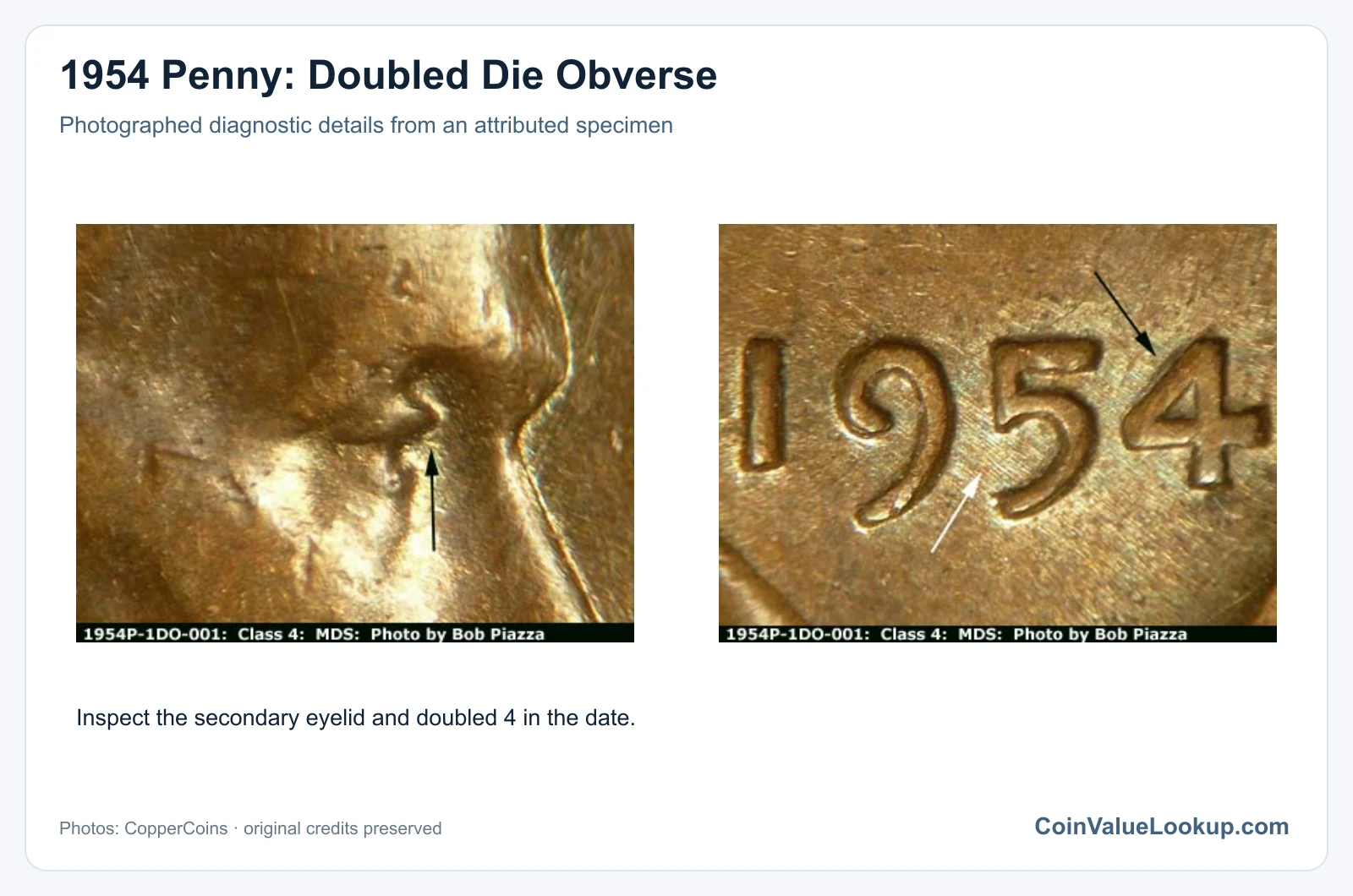 1954 Penny: Doubled Die Obverse with diagnostic detail