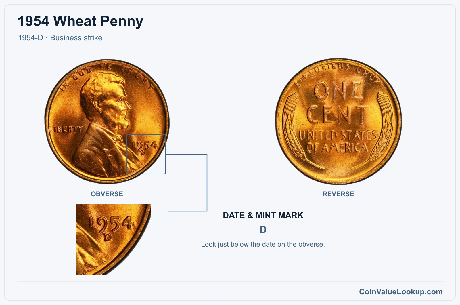 1954 Wheat Penny Coin — 1954-D, obverse and reverse, with date and mint-mark close-up