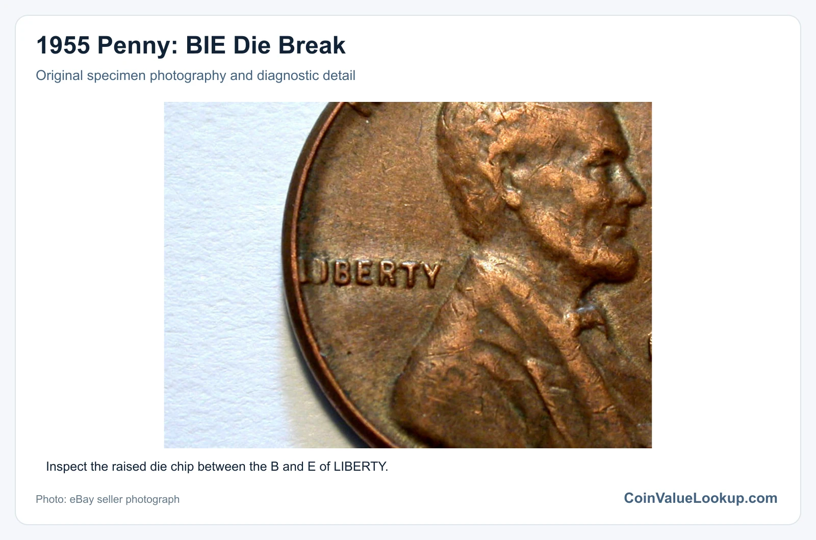 1955 Penny: BIE Die Break with diagnostic detail
