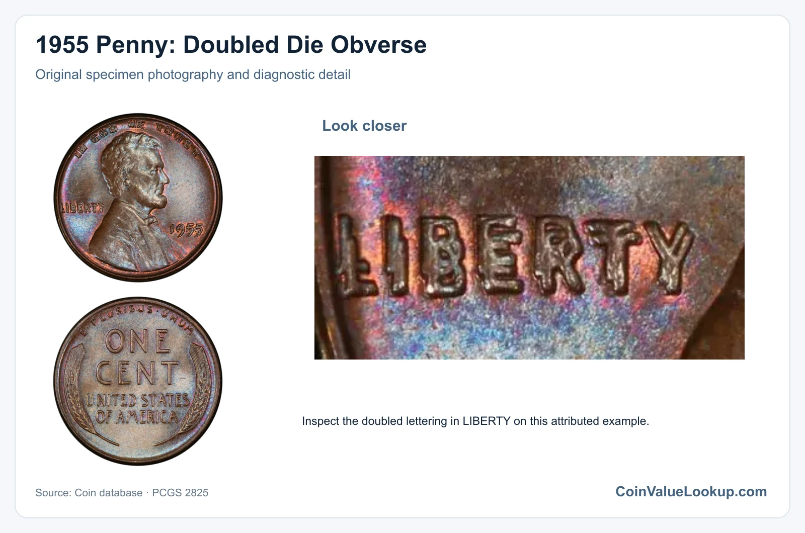 1955 Penny: Doubled Die Obverse with diagnostic detail
