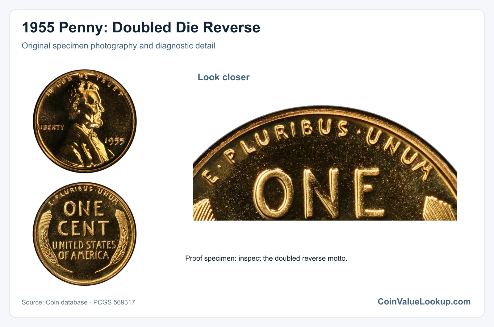 1955 Penny: Doubled Die Reverse with diagnostic detail